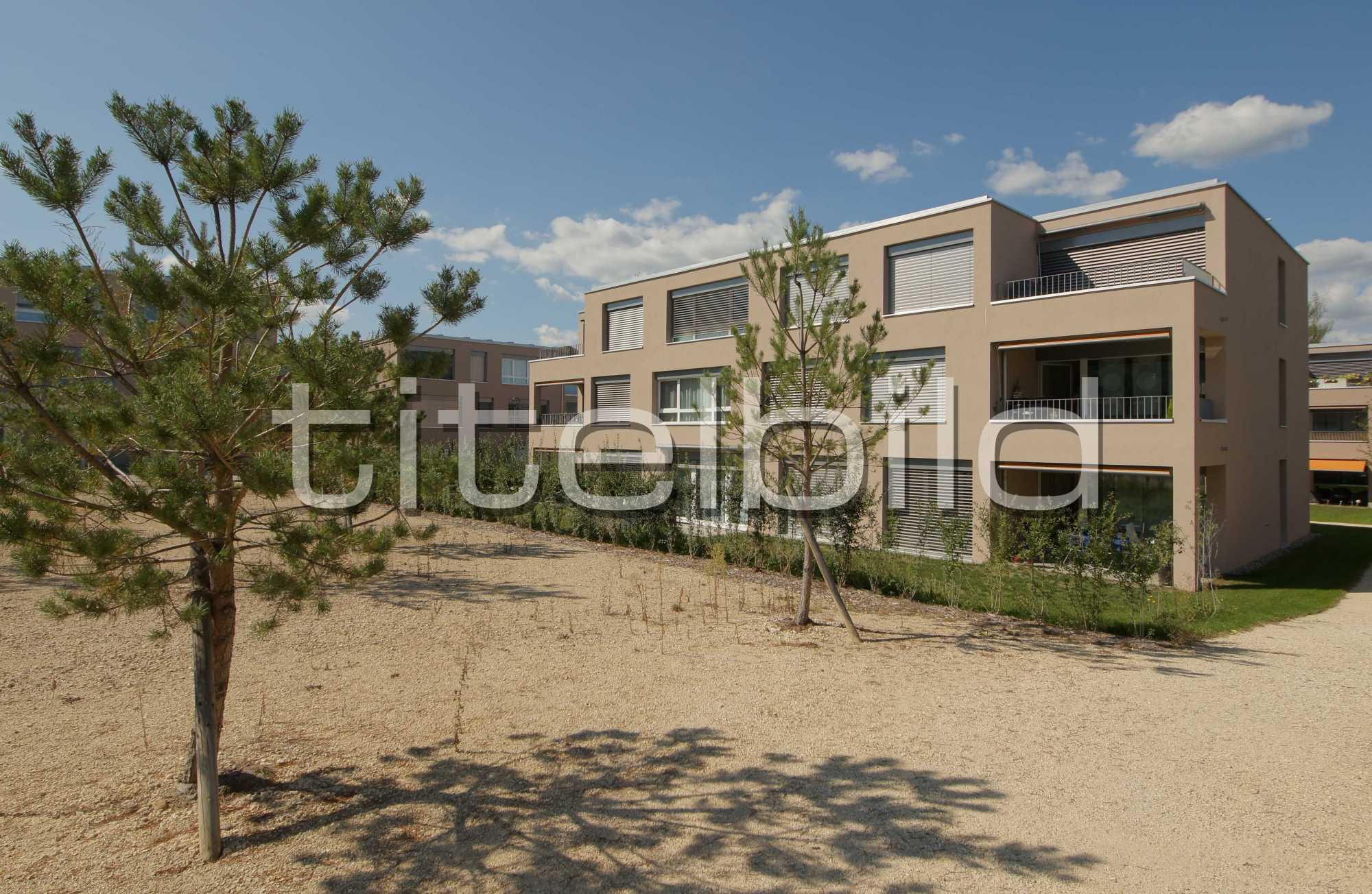 Projektbild-Nr. 5: Sonnenfeld