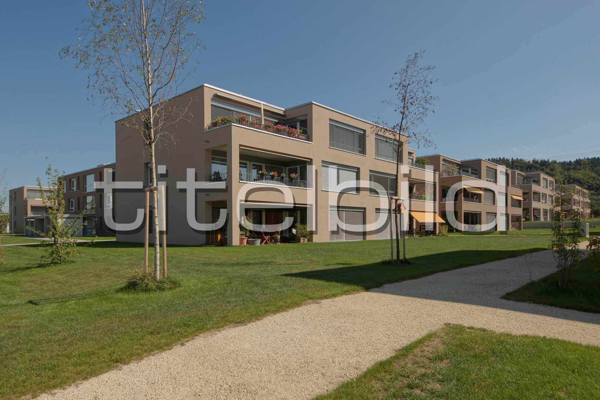 Projektbild-Nr. 7: Sonnenfeld