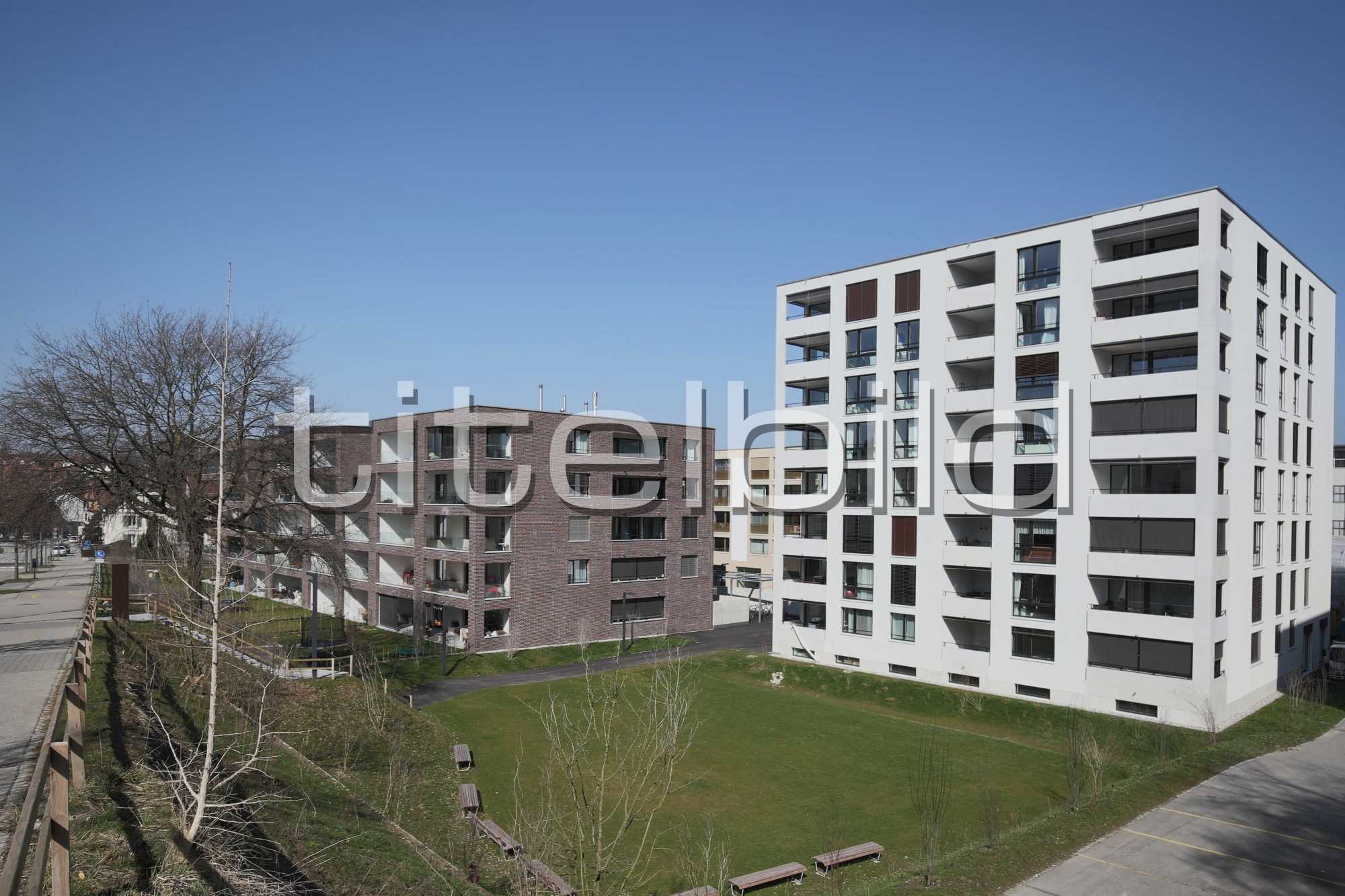 Projektbild-Nr. 0: Suttergut