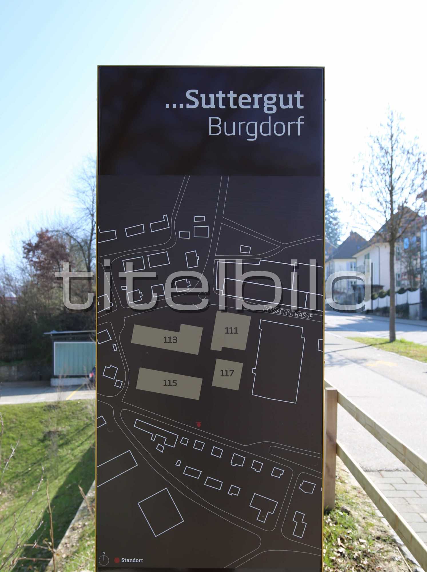 Projektbild-Nr. 3: Suttergut