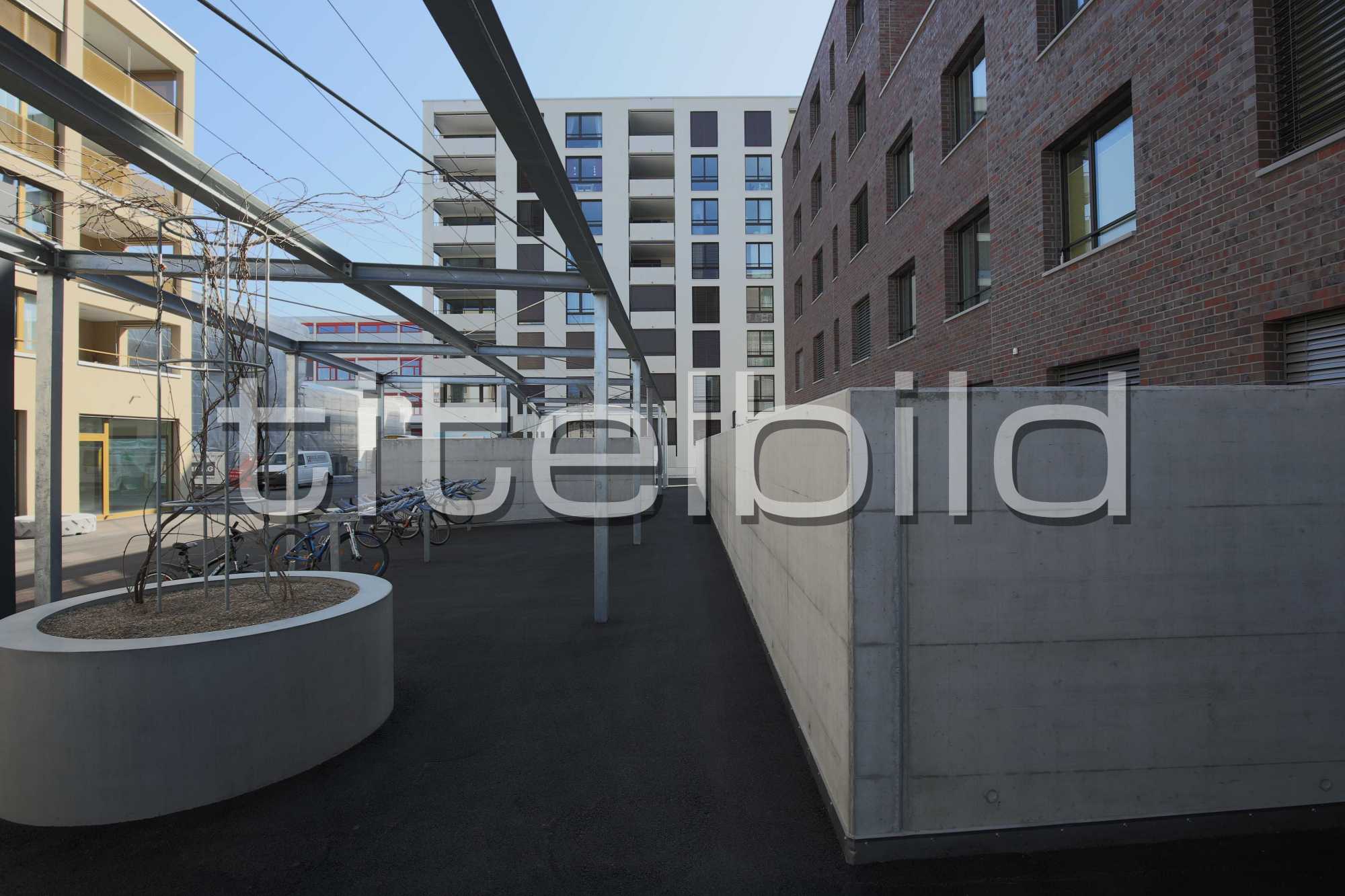 Projektbild-Nr. 7: Suttergut