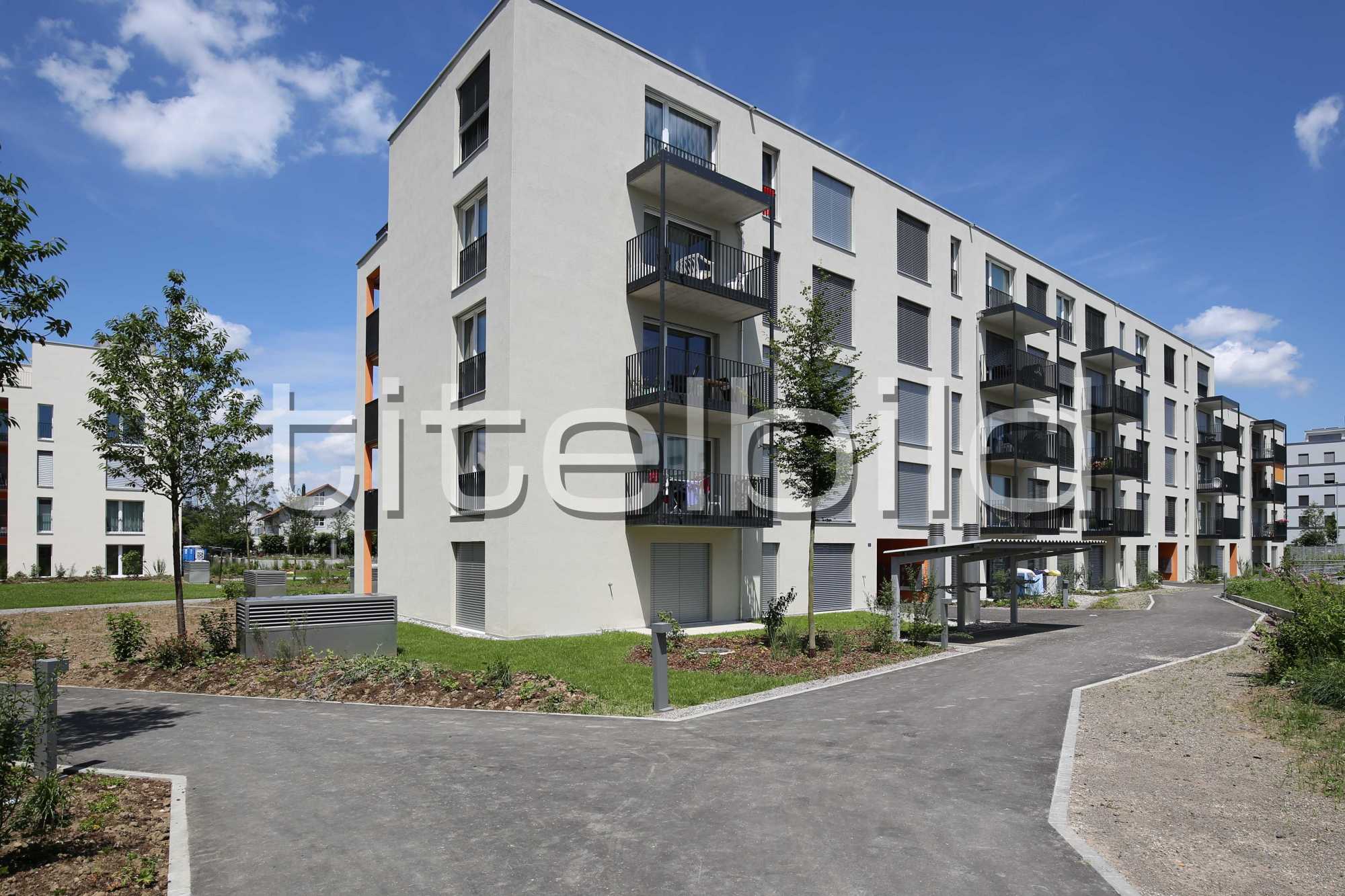 Projektbild-Nr. 1: Sternenfeld