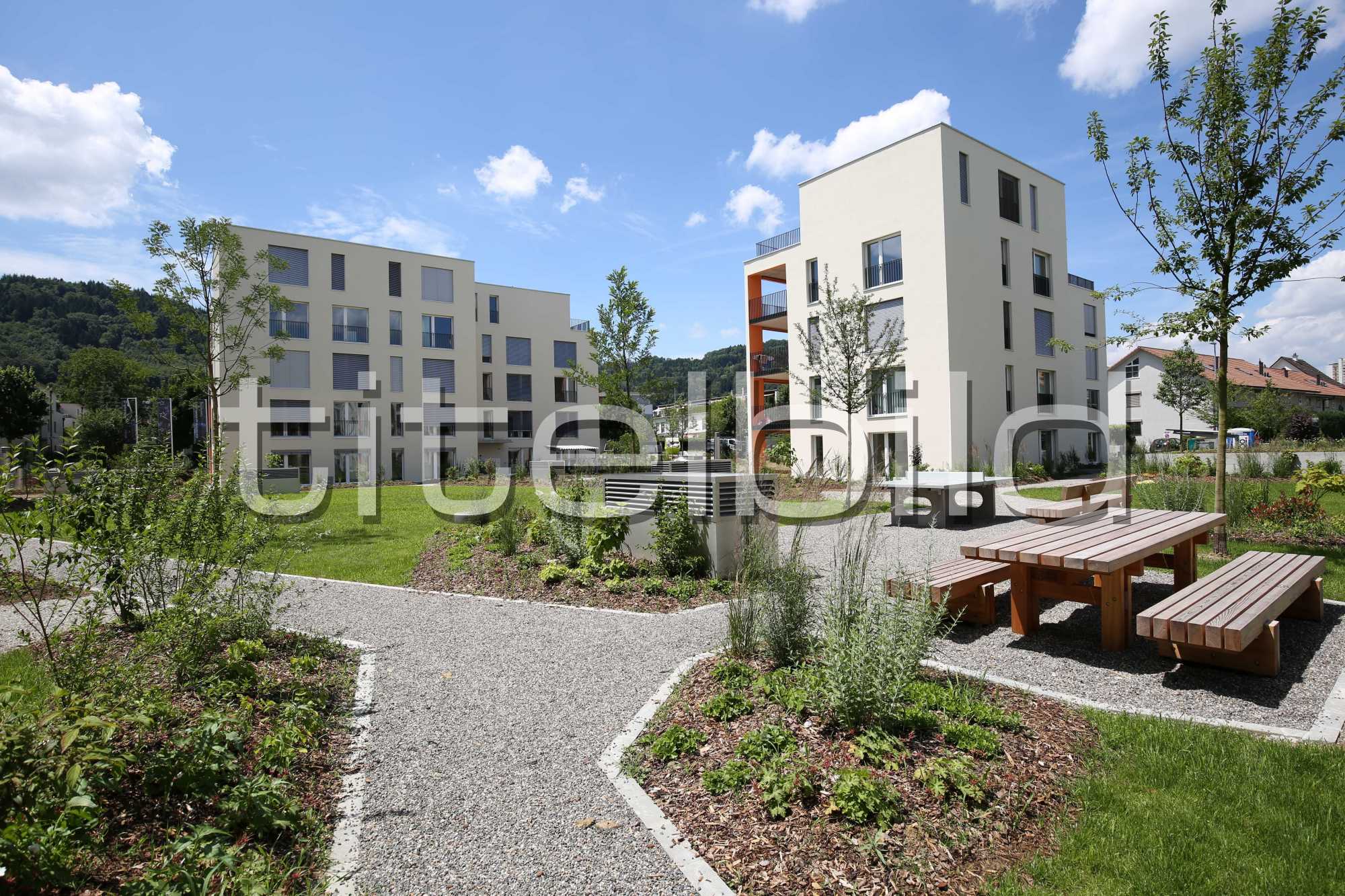 Projektbild-Nr. 5: Sternenfeld