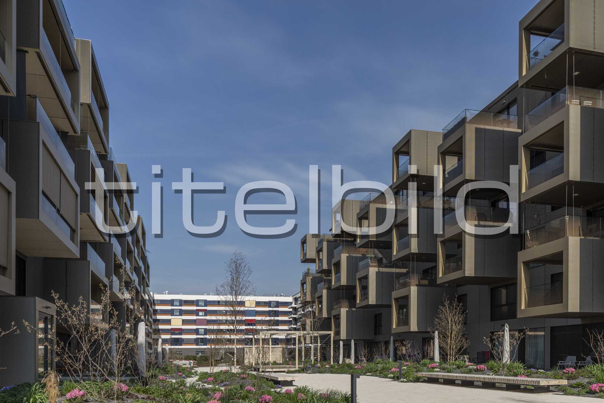 Projektbild-Nr. 9: My Cocoon