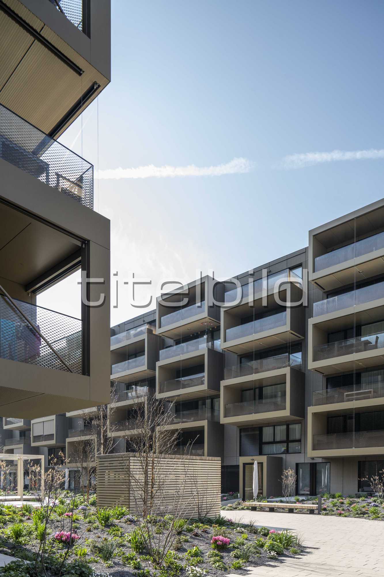 Projektbild-Nr. 12: My Cocoon