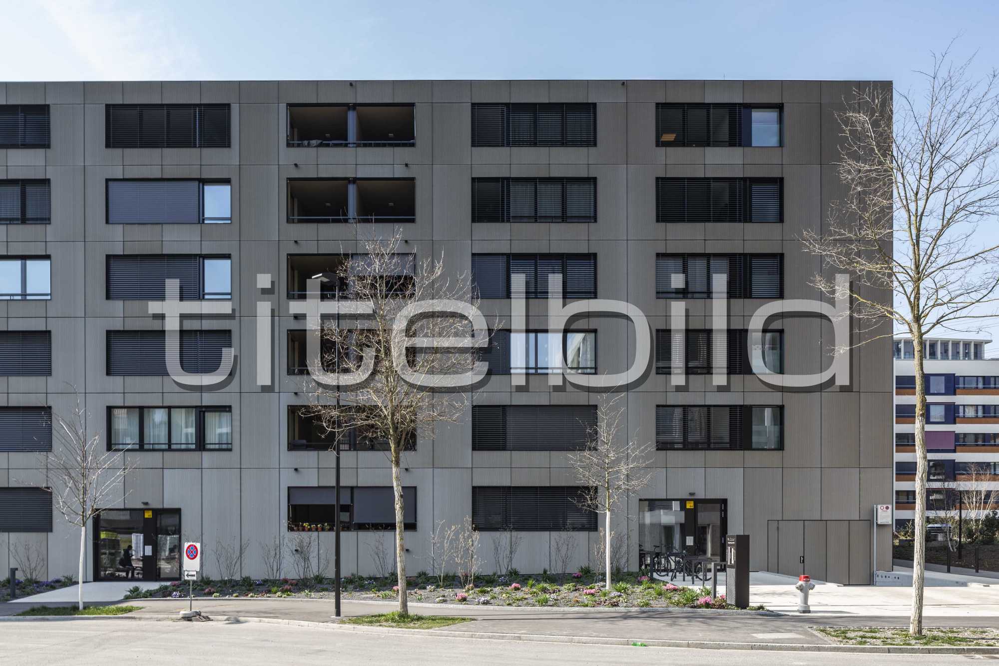 Projektbild-Nr. 6: My Cocoon