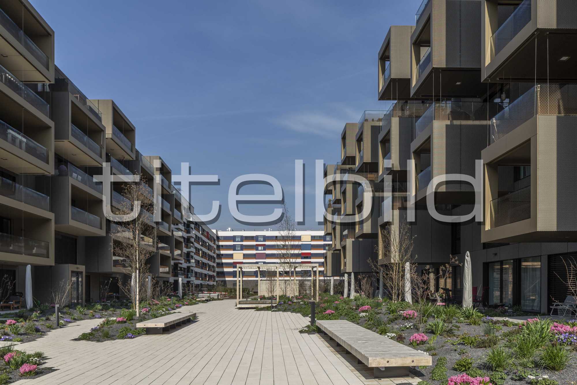 Projektbild-Nr. 8: My Cocoon