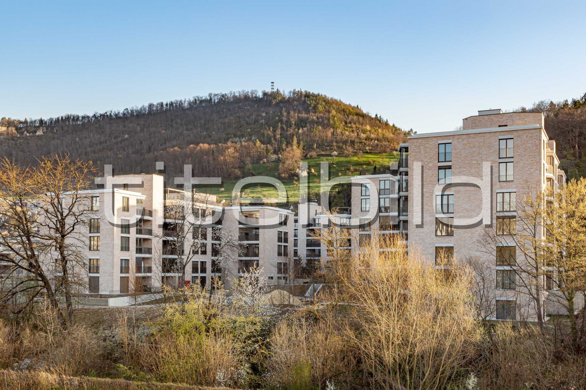 Projektbild-Nr. 0: WÜB Grammet