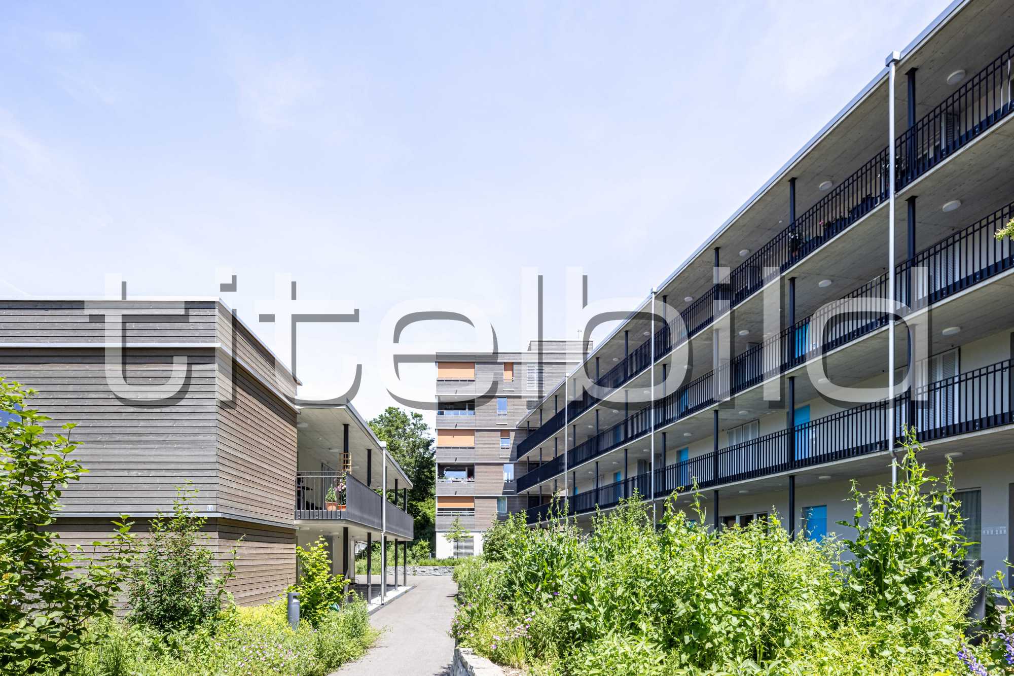 Projektbild-Nr. 3: Alterswohnheim Silber