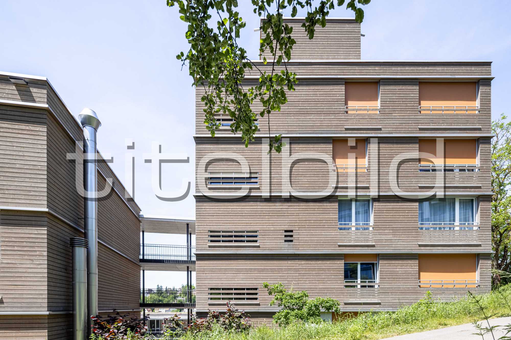 Projektbild-Nr. 4: Alterswohnheim Silber