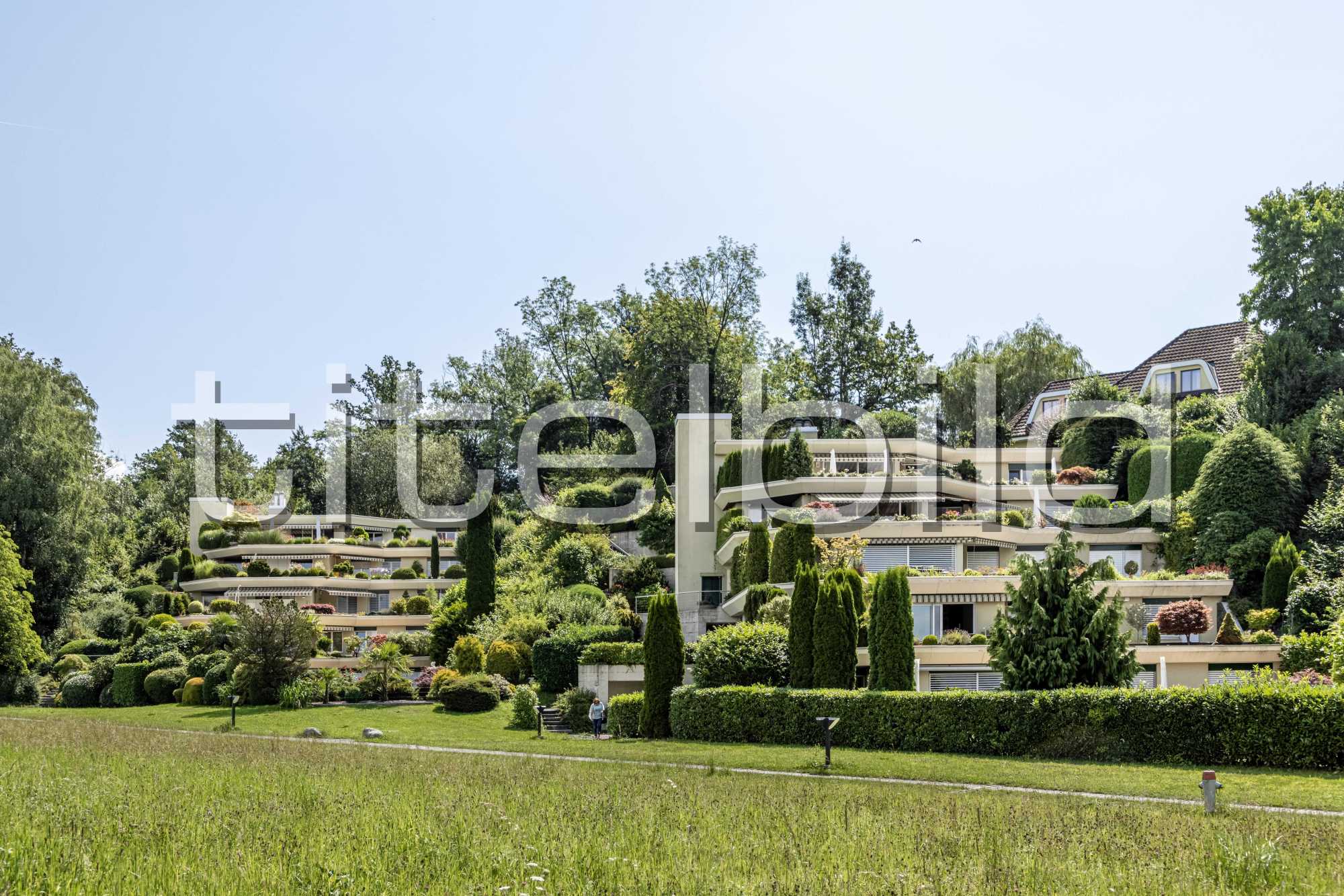 Projektbild-Nr. 1: Terrassenhäuser Meggenhorn