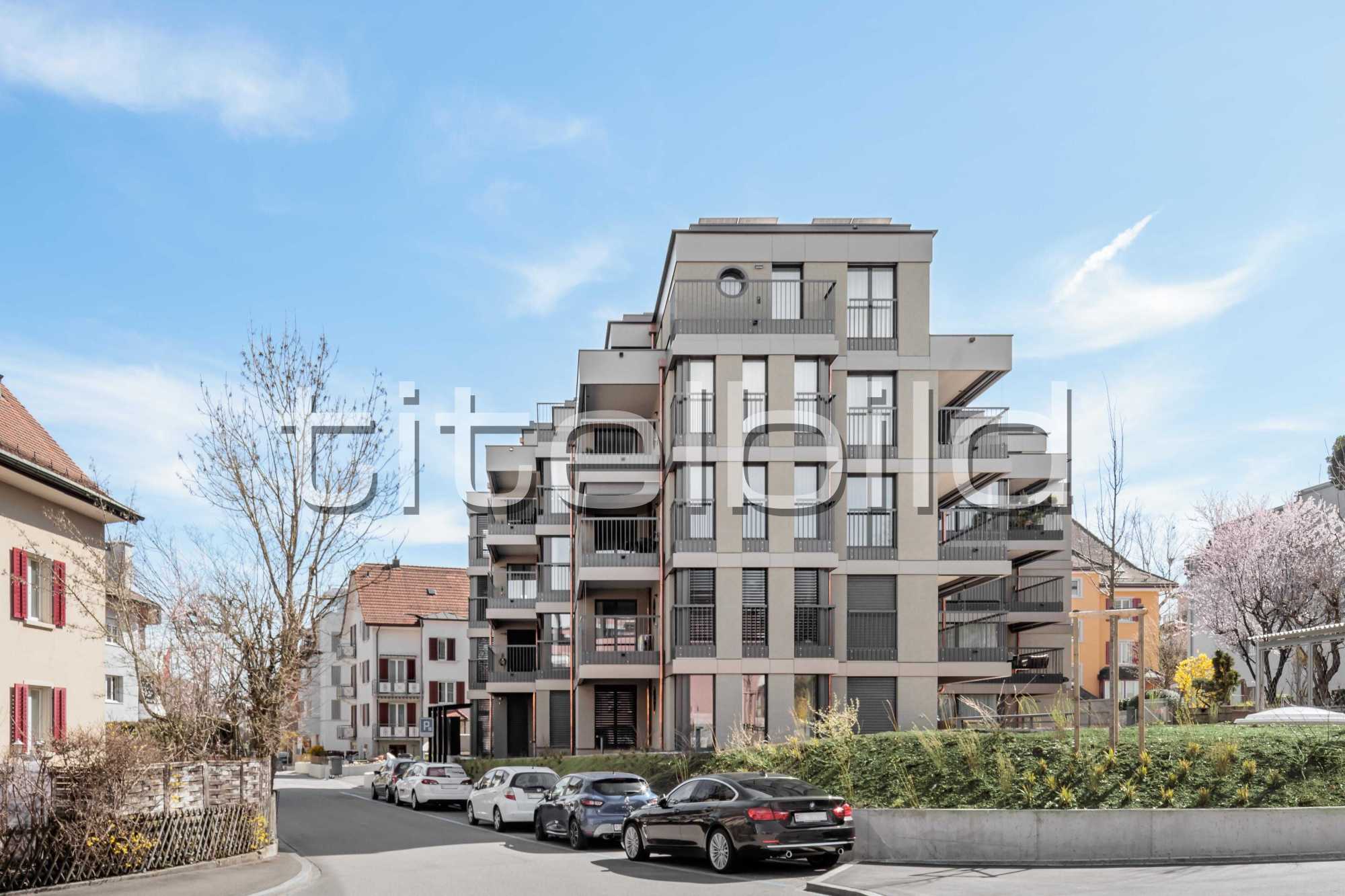 Projektbild-Nr. 1: Neubau Sustenhaus