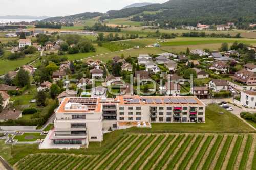 Bild-Nr: 3des Objektes Maison de retraite «Carpe Diem»