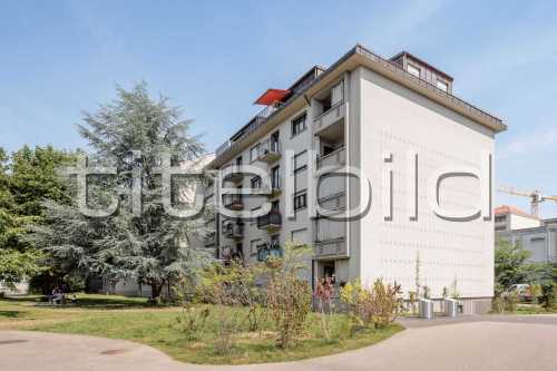 Bild-Nr: 1des Objektes MFH Gesamtsanierung und Dachausbau