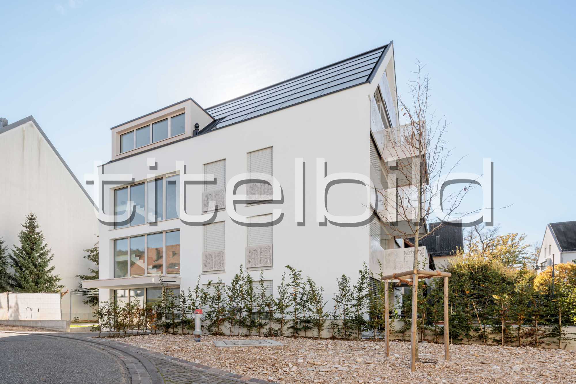 Projektbild-Nr. 0: MFH Arlesheim