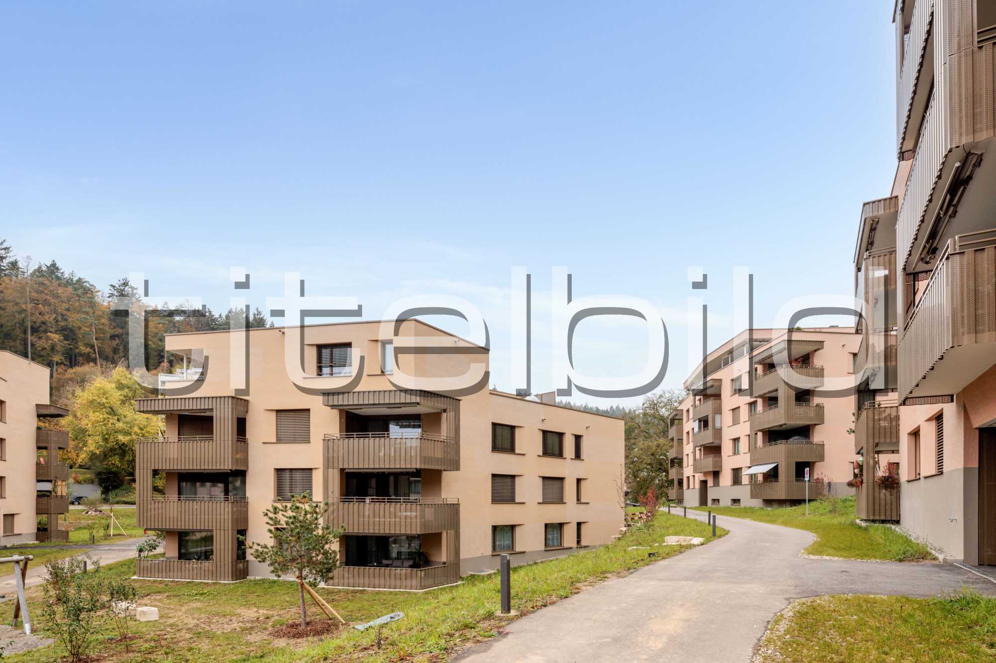 Projektbild-Nr. 3: Breiti Park