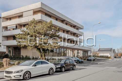 Bild-Nr: 4des Objektes Pierre - Fleurie