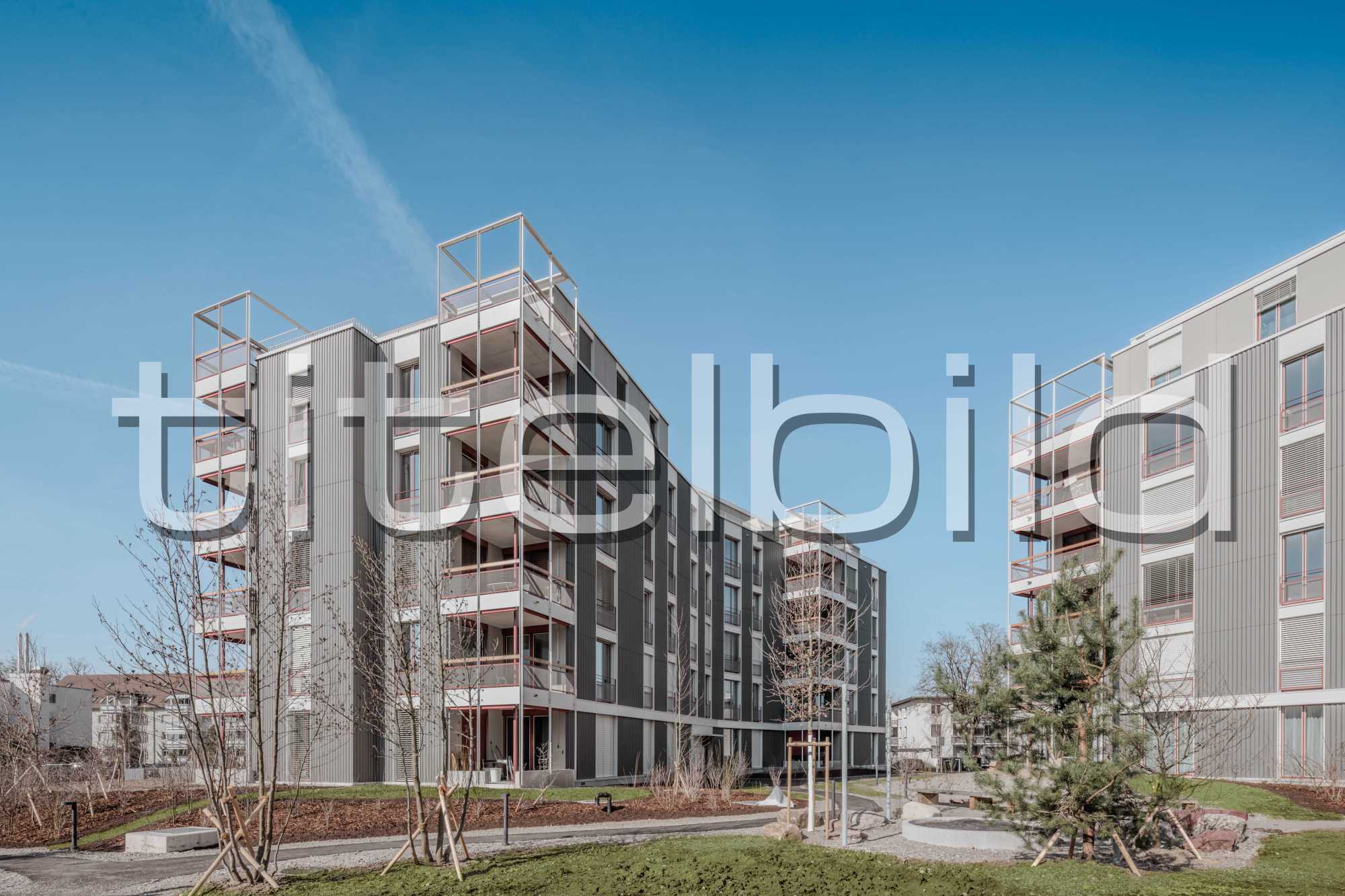 Projektbild-Nr. 0: Neubau Siedlung Lerchenfeld