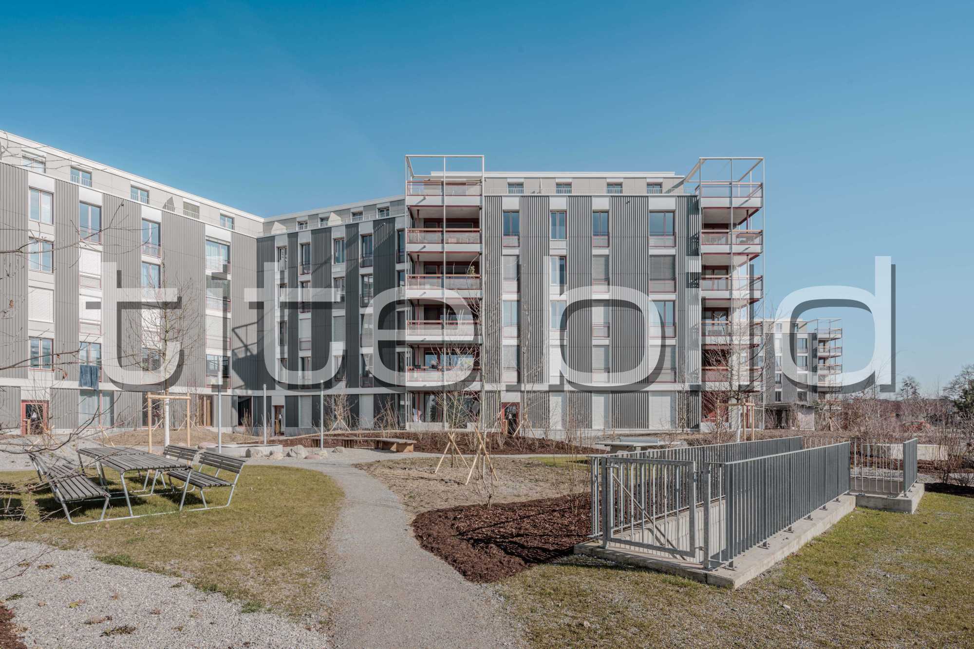 Projektbild-Nr. 2: Neubau Siedlung Lerchenfeld