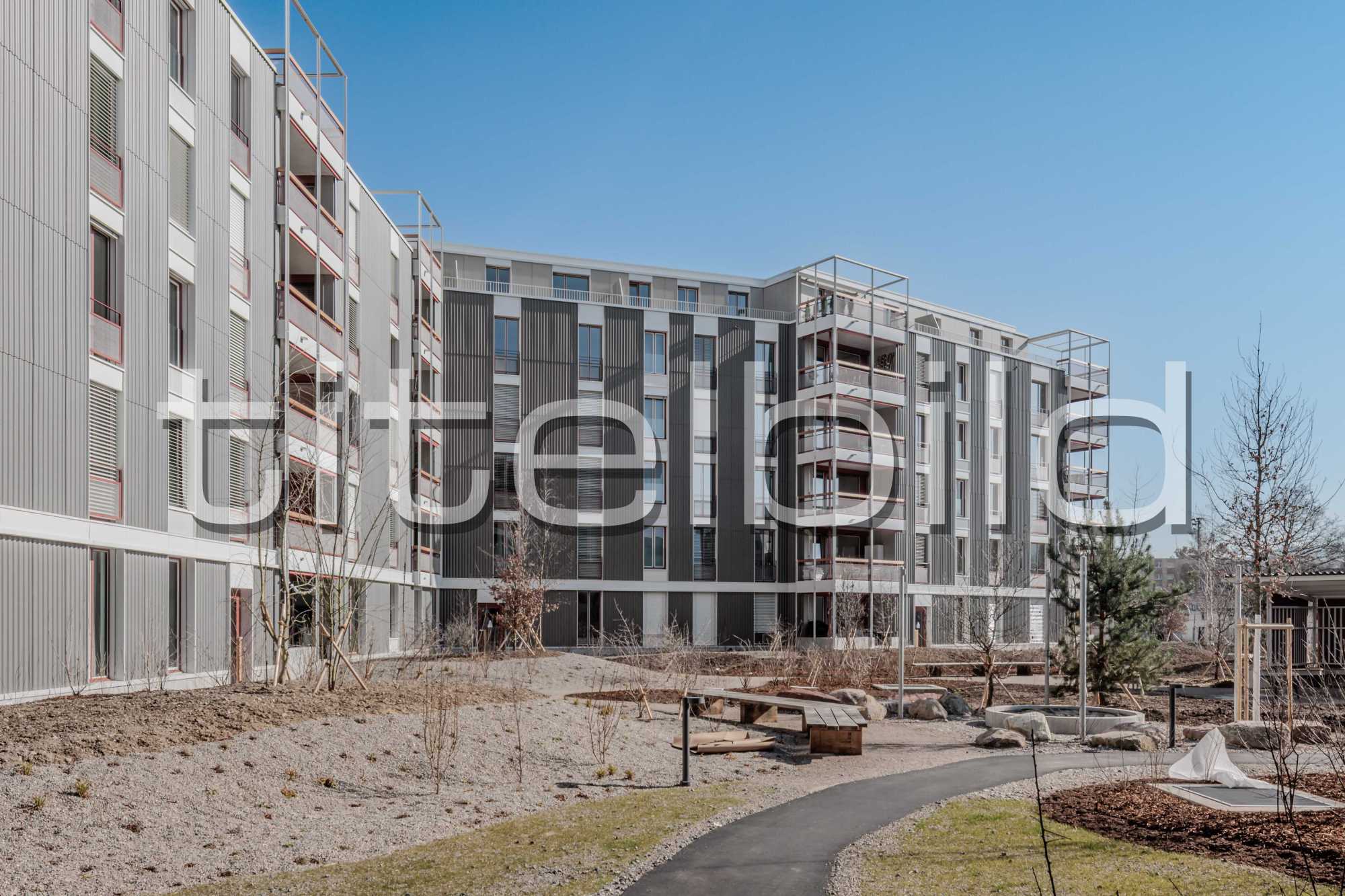 Projektbild-Nr. 6: Neubau Siedlung Lerchenfeld