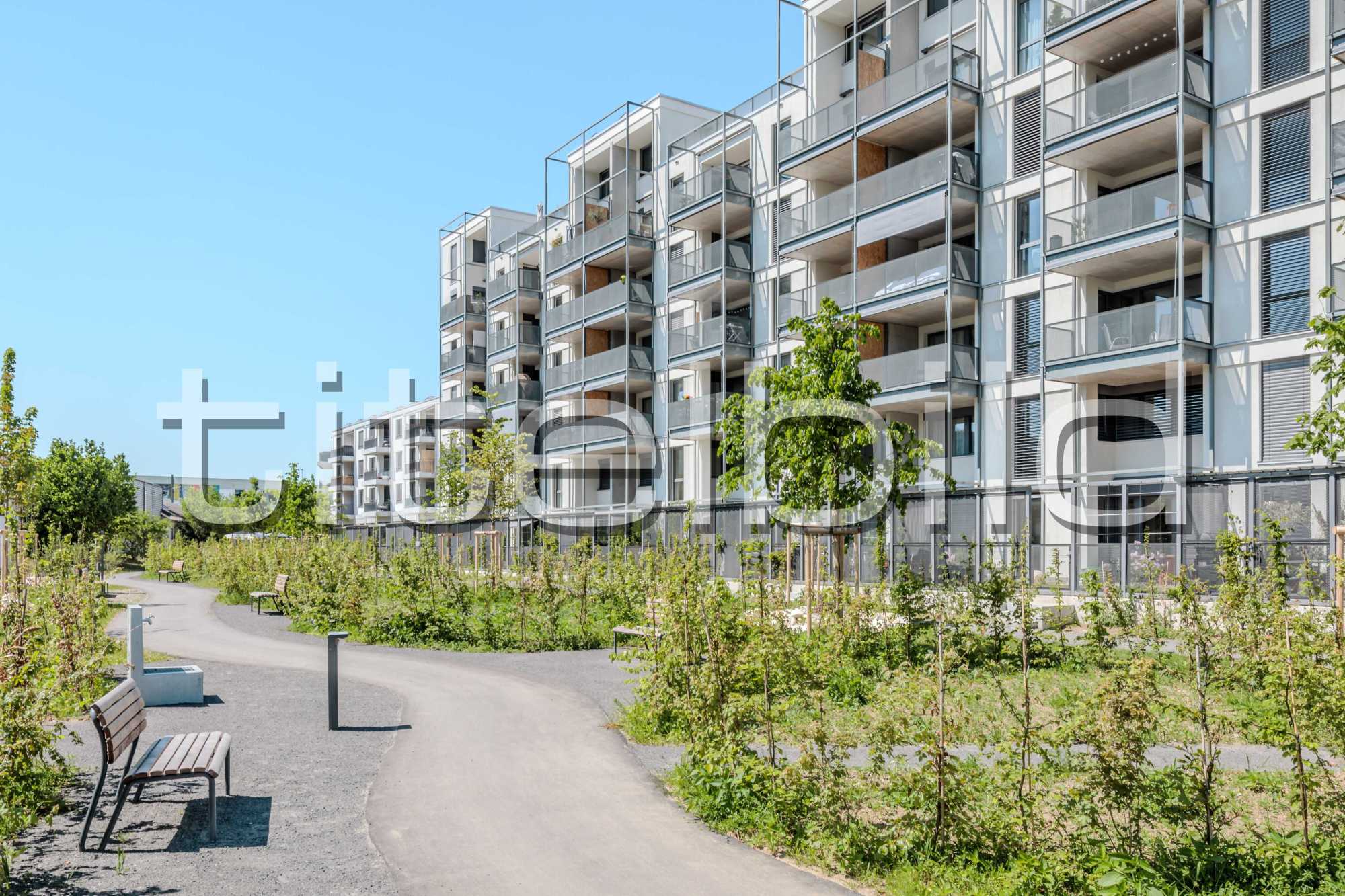 Projektbild-Nr. 6: Neubau VIVO Aesch