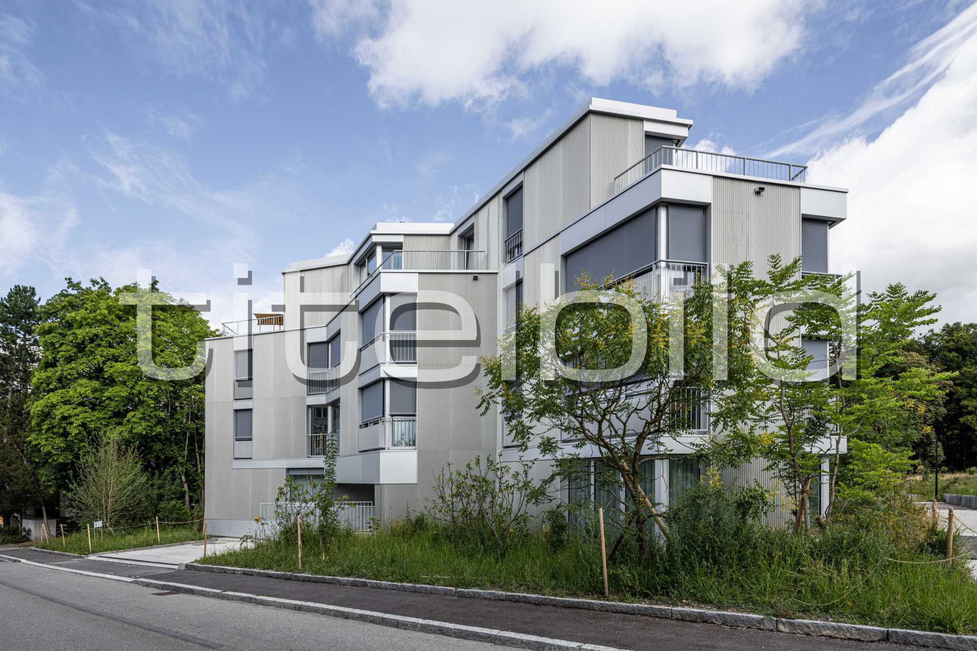 Projektbild-Nr. 1: Neubau MFH Buchholzstrasse