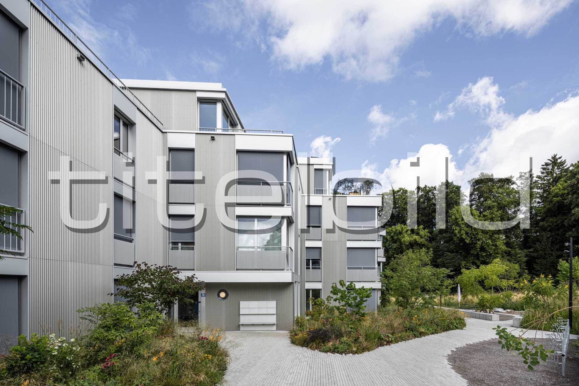 Projektbild-Nr. 3: Neubau MFH Buchholzstrasse
