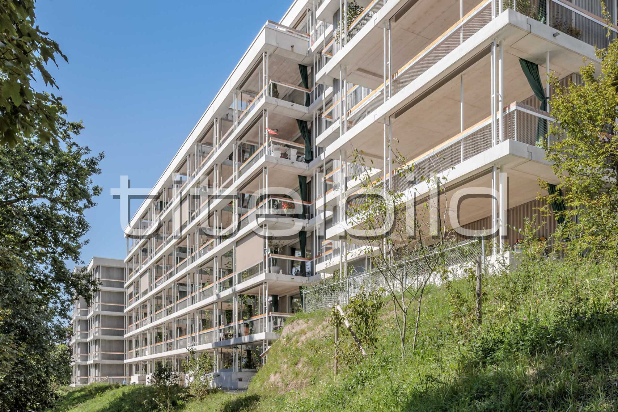 Projektbild-Nr. 6: Wohnhaus