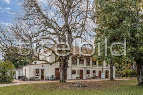 Bild-Nr: 4des Objektes Gärtnerhaus im Schwarzpark