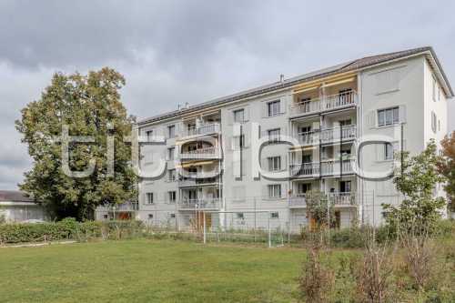 Bild-Nr: 4des Objektes Aufstockung Im Rheinacker