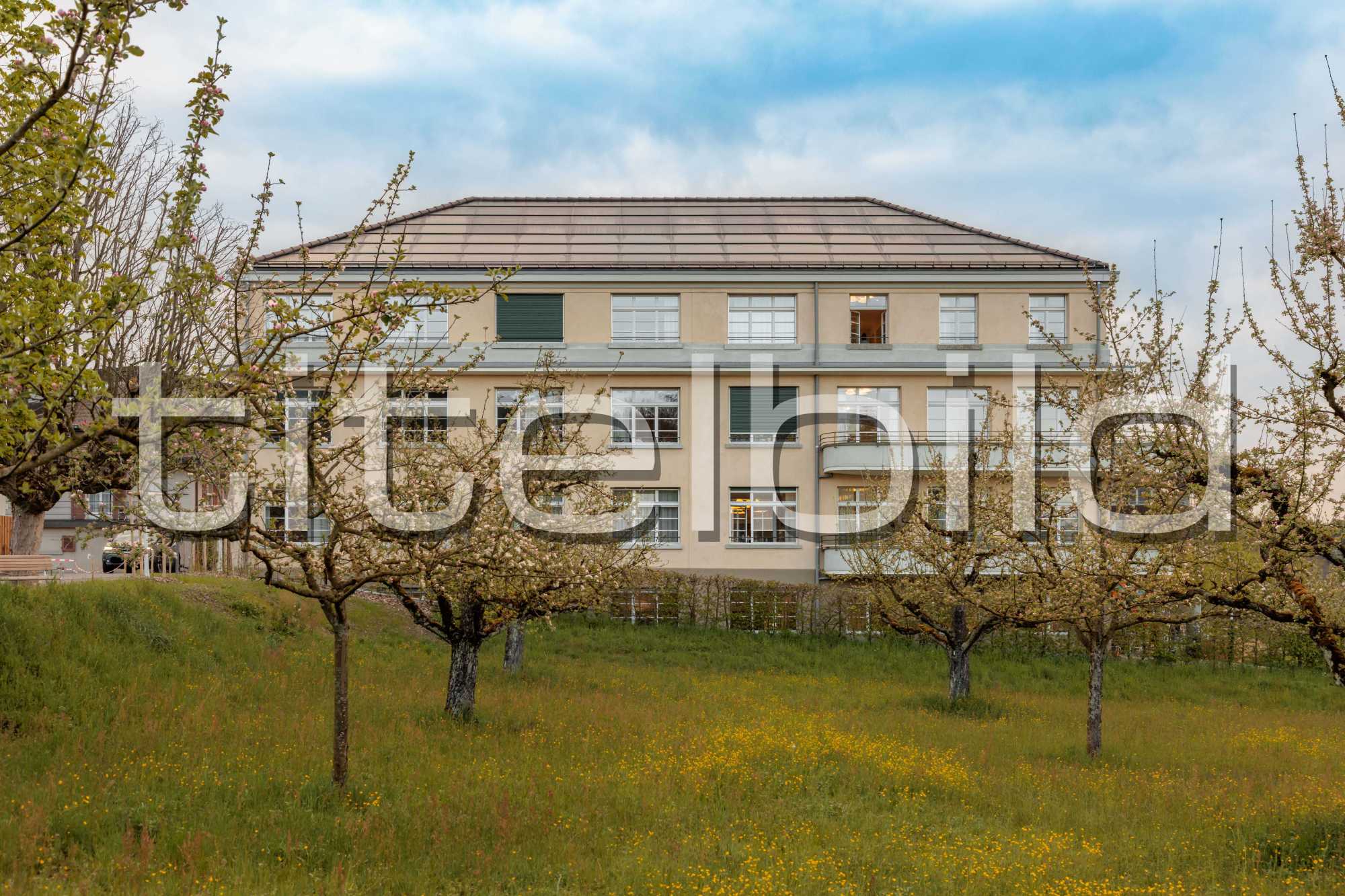 Projektbild-Nr. 2: Gesamtsanierung Tilia