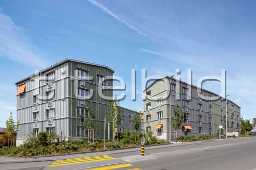 Bild-Nr: 1des Objektes MFH Alte Landstrasse, Küsnacht