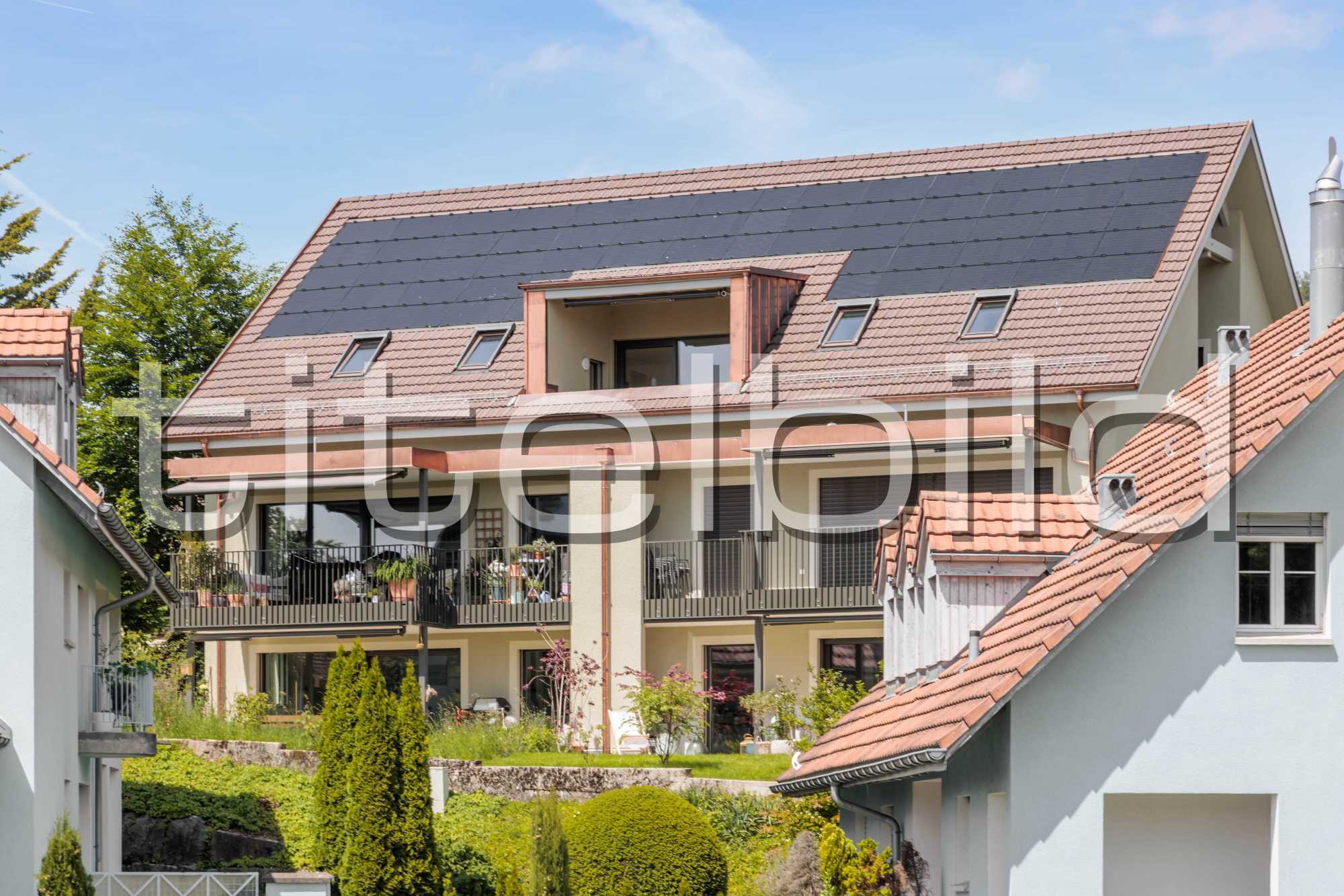 Projektbild-Nr. 1: Kirschbaum