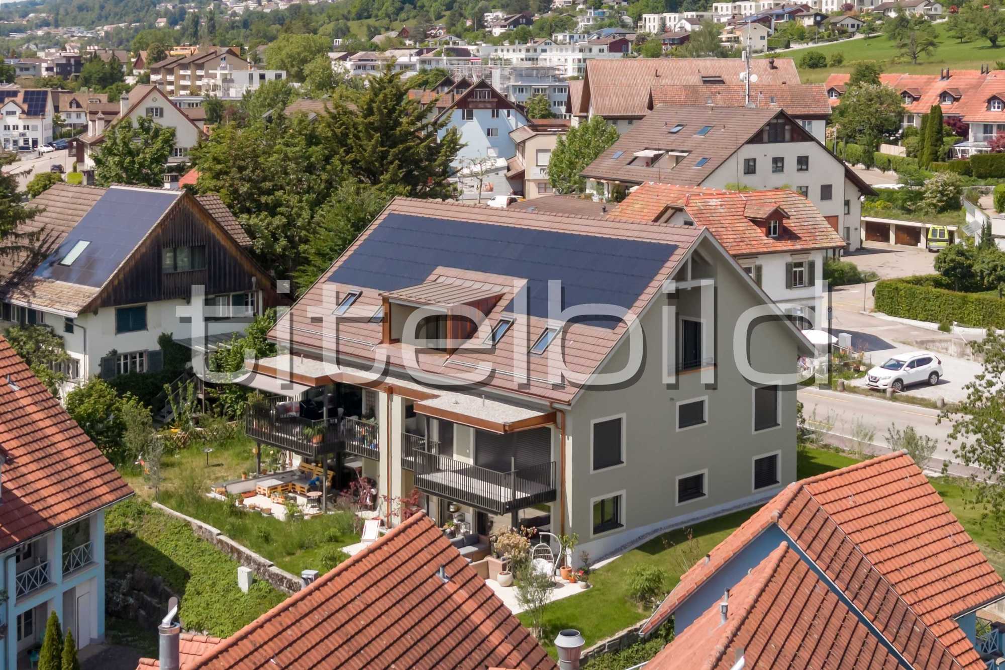 Projektbild-Nr. 3: Kirschbaum