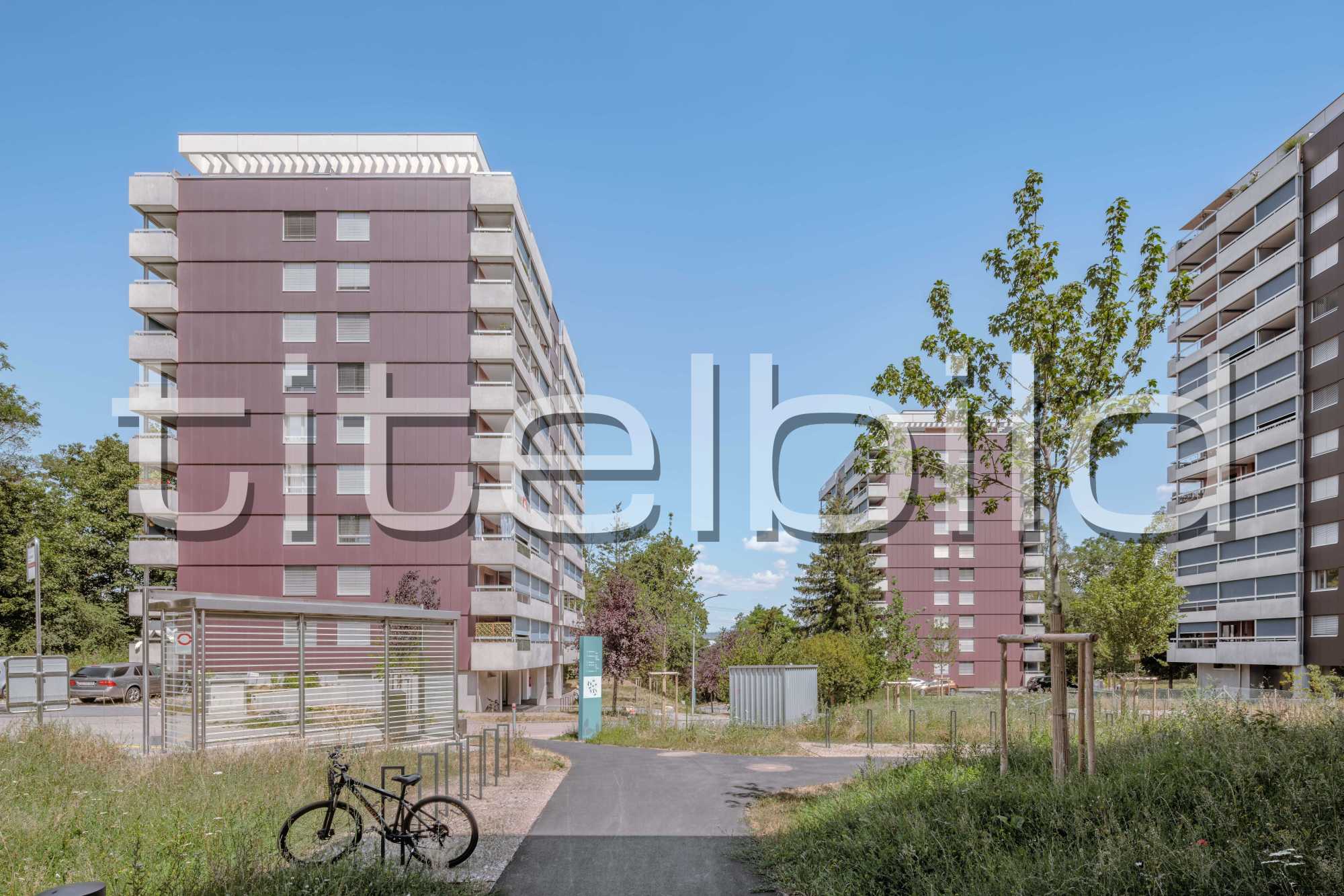 Projektbild-Nr. 2: Sanierung Dianapark