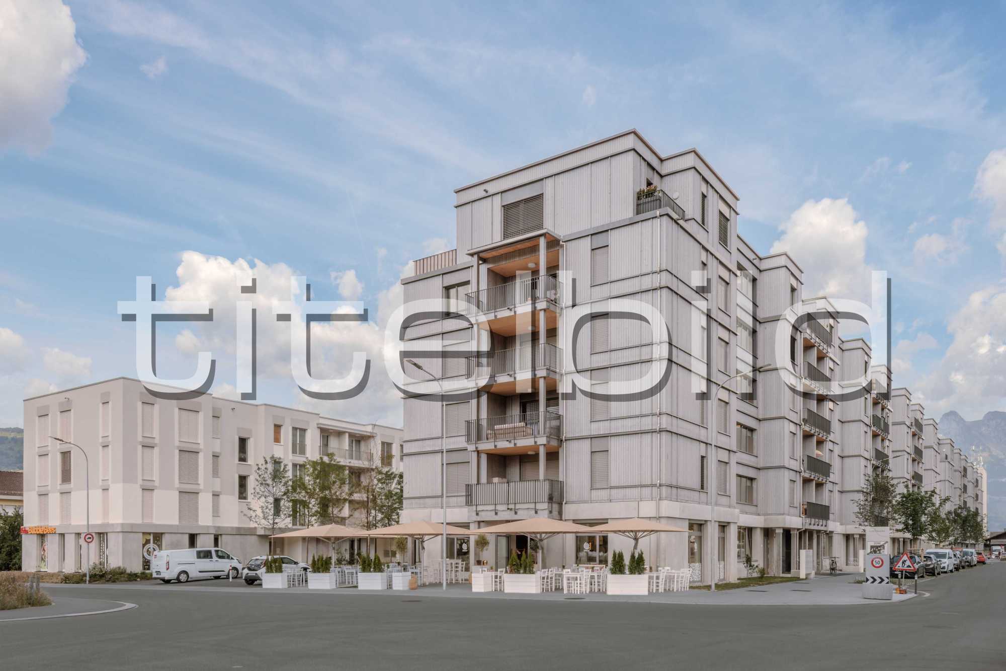 Projektbild-Nr. 0: Rheincity
