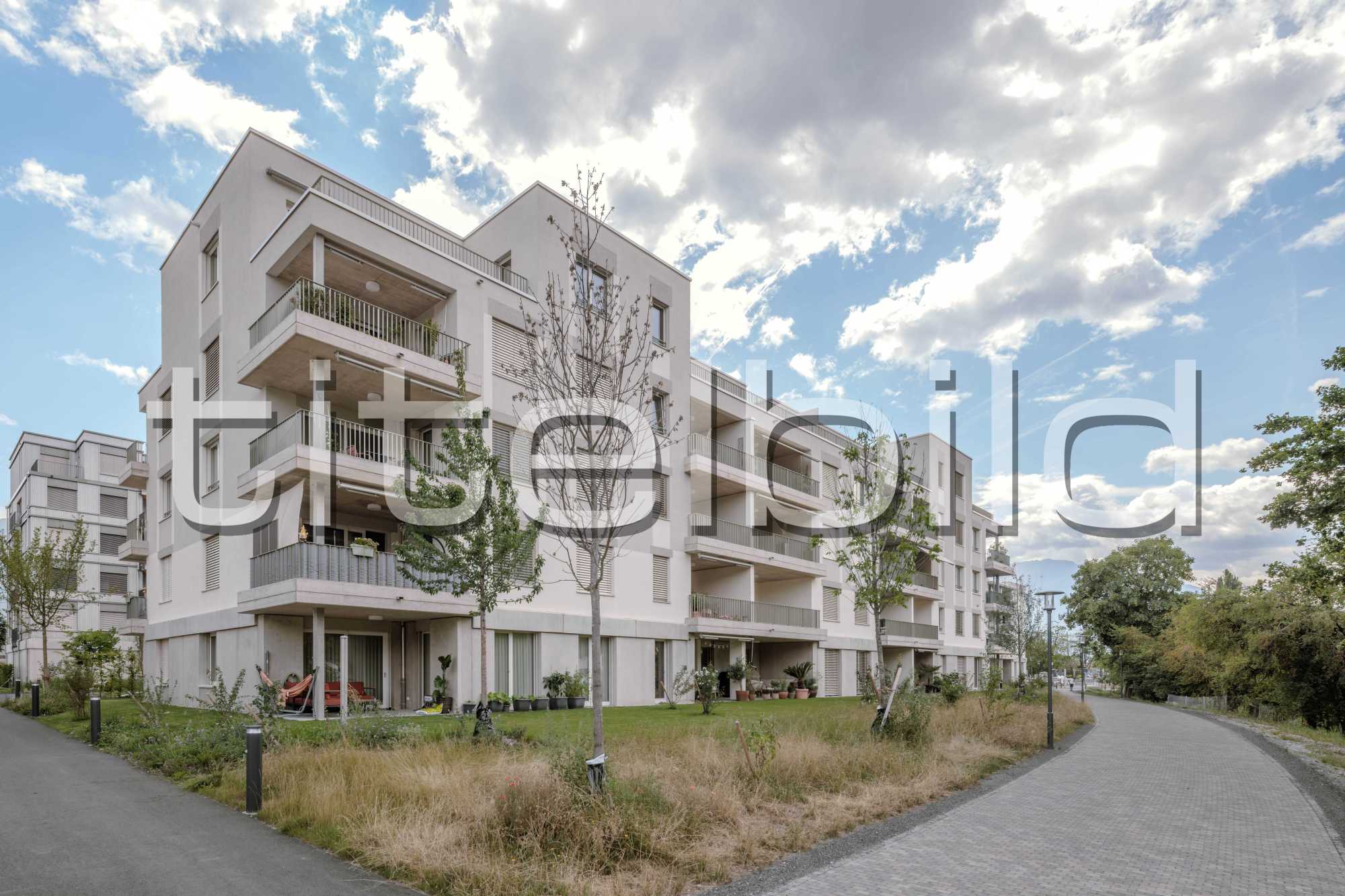 Projektbild-Nr. 4: Rheincity