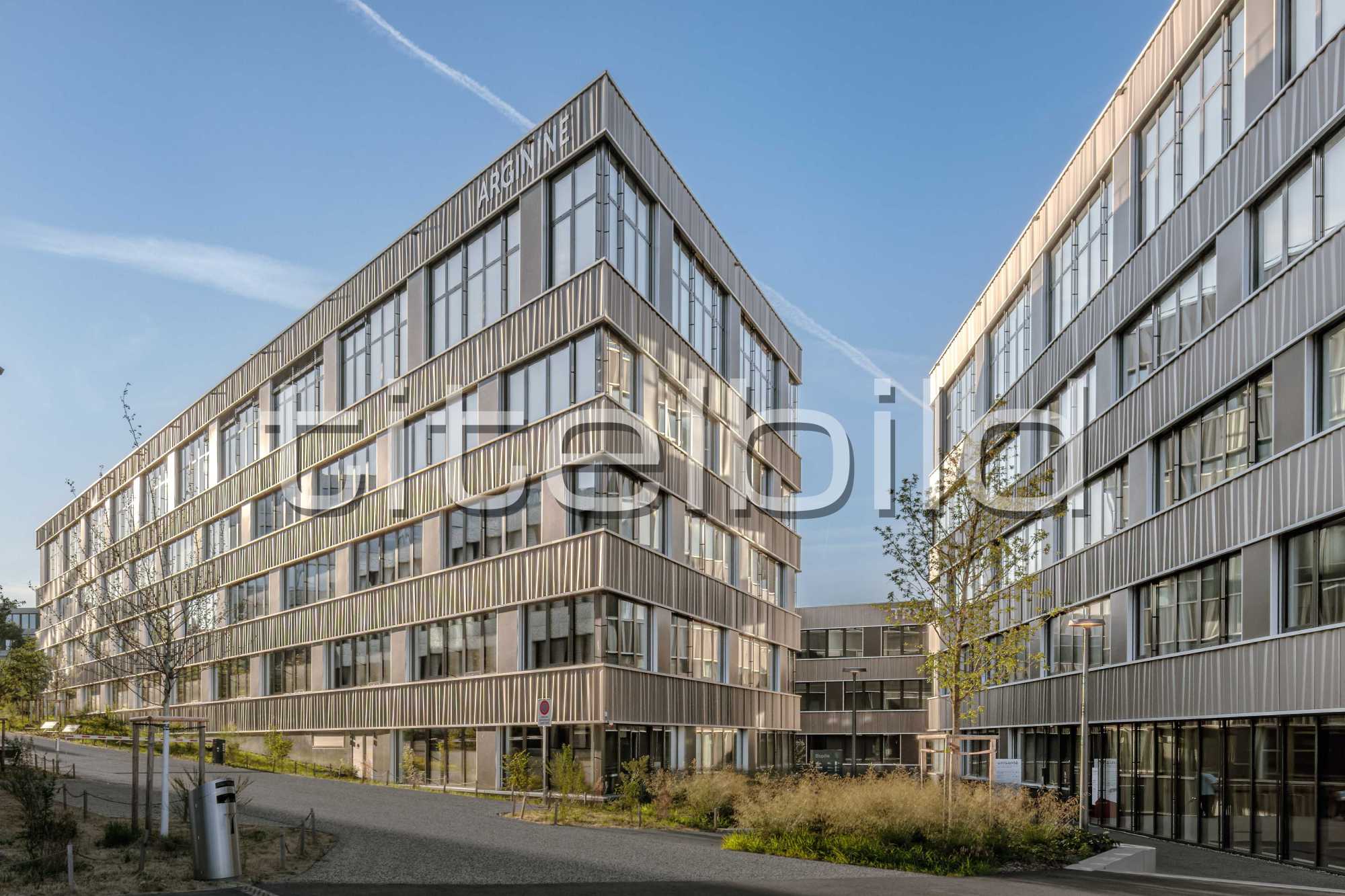 Projektbild-Nr. 2: Biopole F1