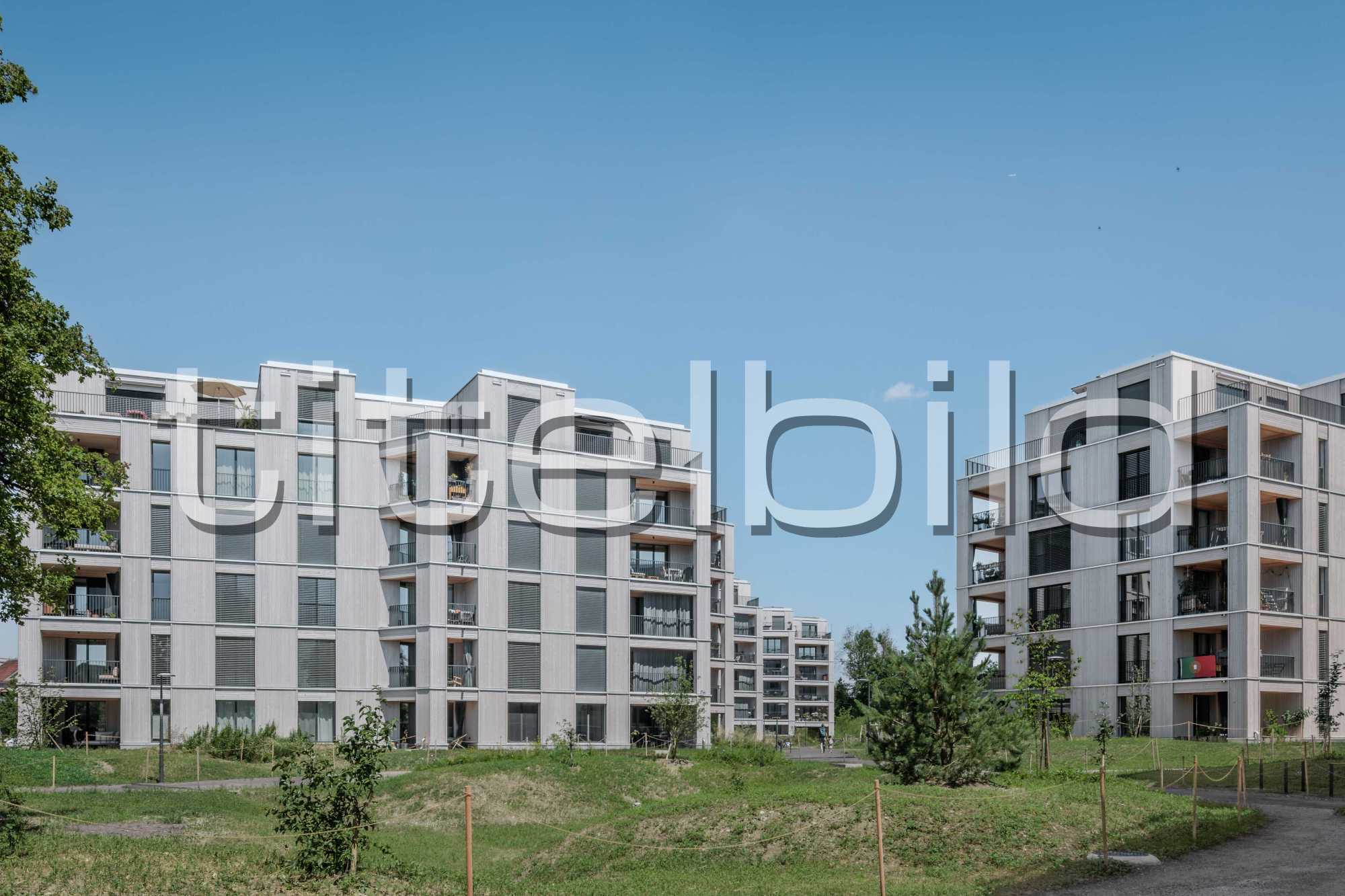 Projektbild-Nr. 5: Ersatzneubau im Zelg