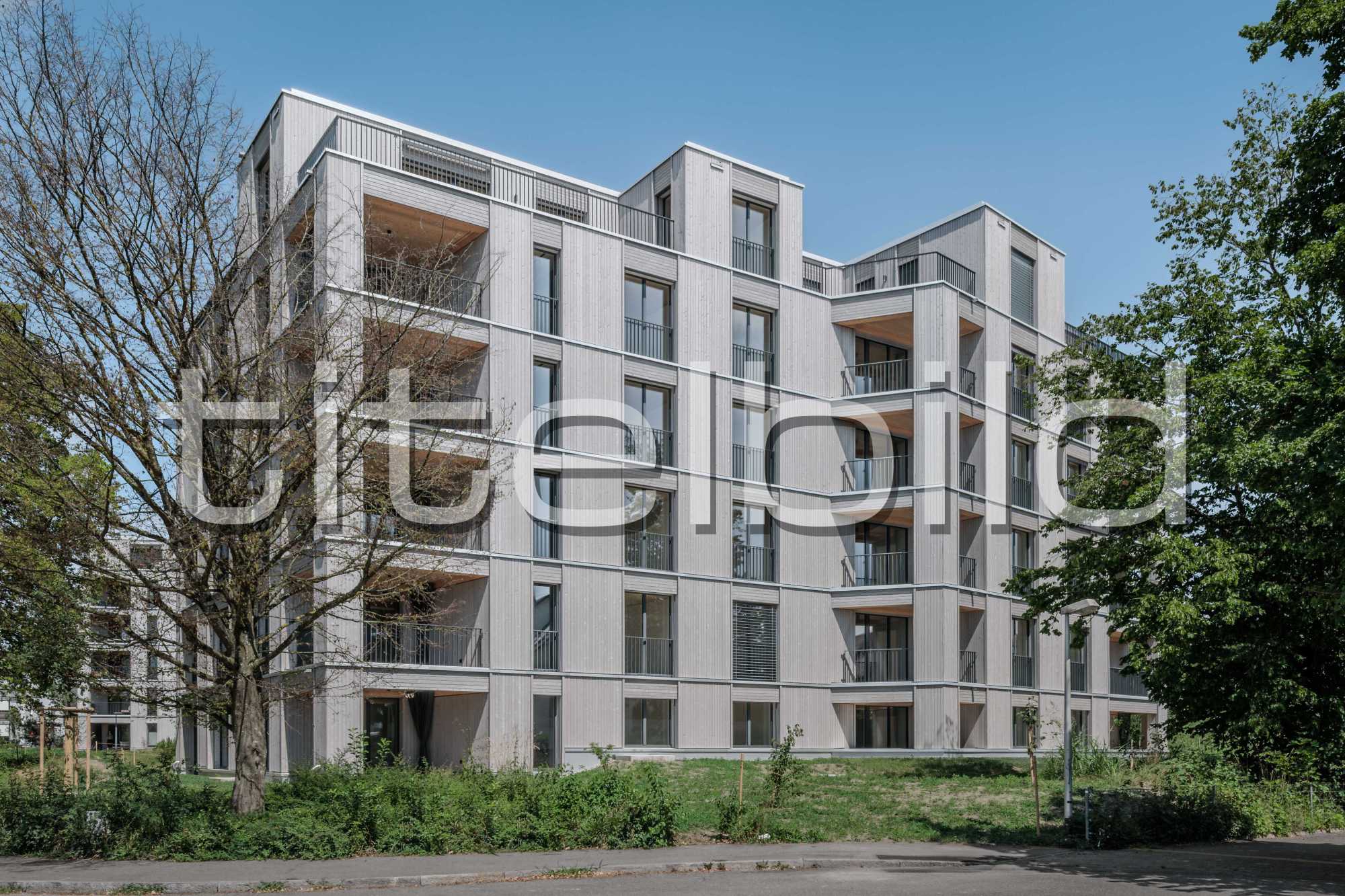 Projektbild-Nr. 6: Ersatzneubau im Zelg