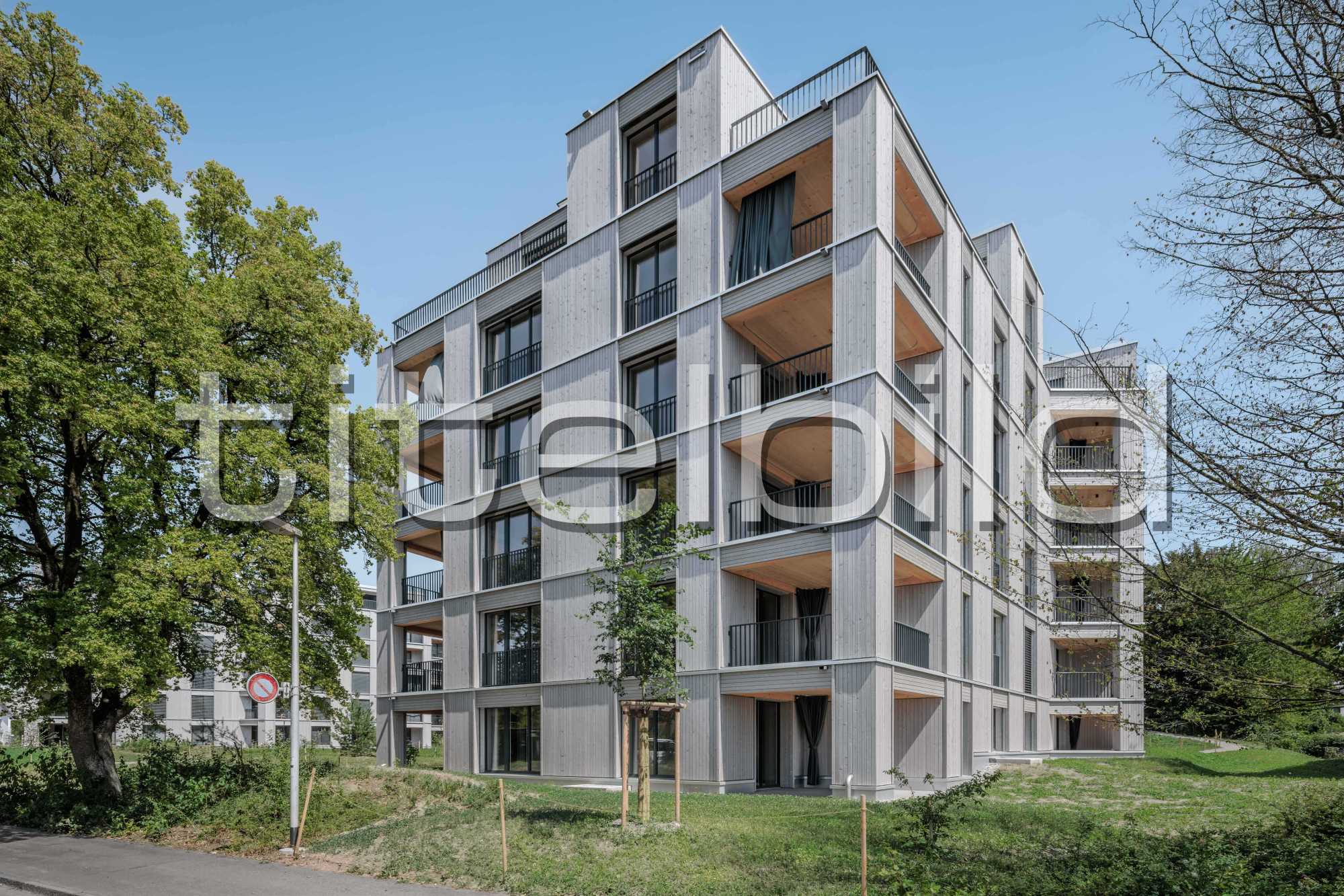 Projektbild-Nr. 7: Ersatzneubau im Zelg