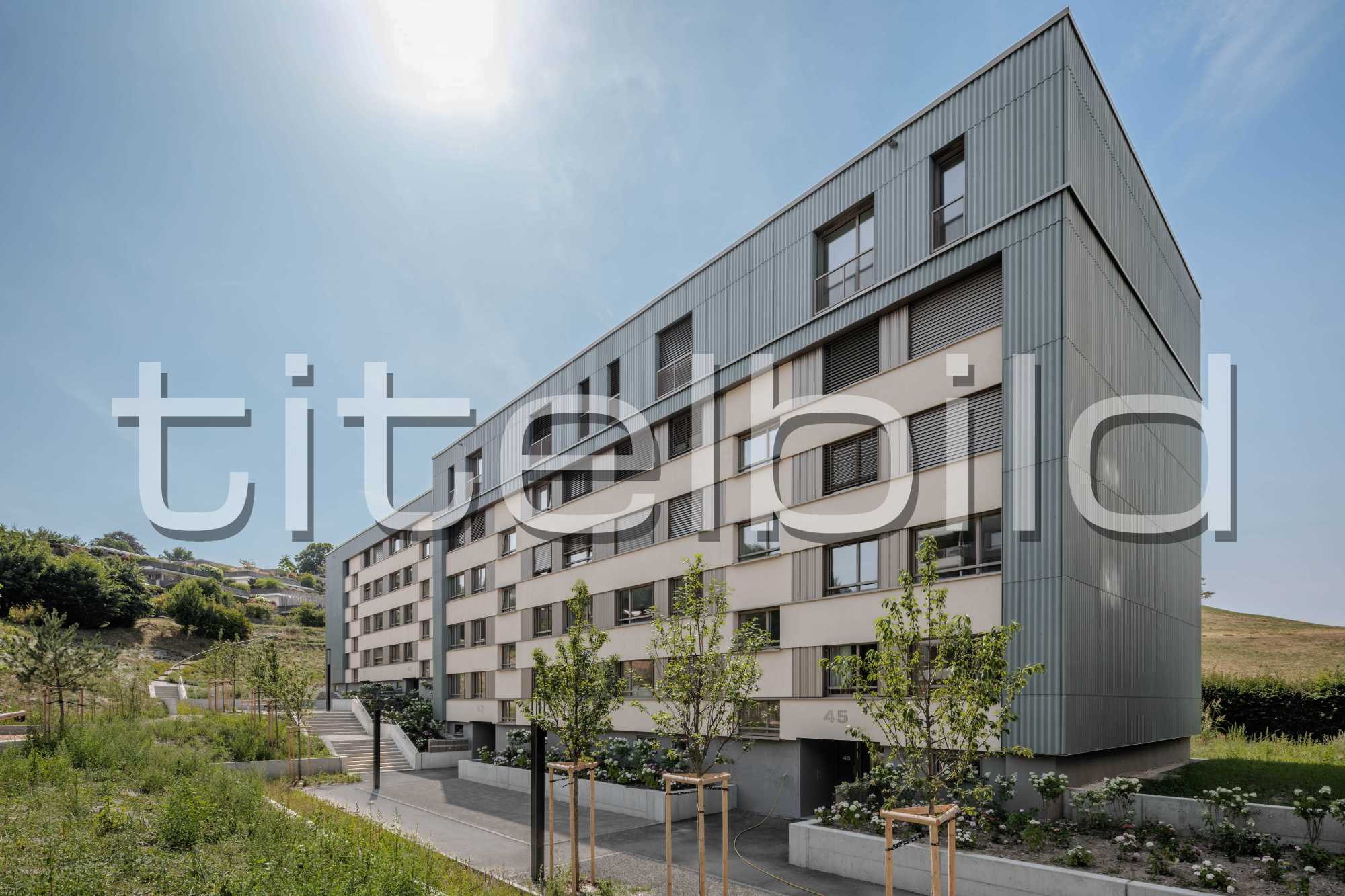 Projektbild-Nr. 8: Lindenmatt West 1. Etappe